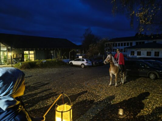 ae54491a-18a8-479d-9b86-13316a82daee