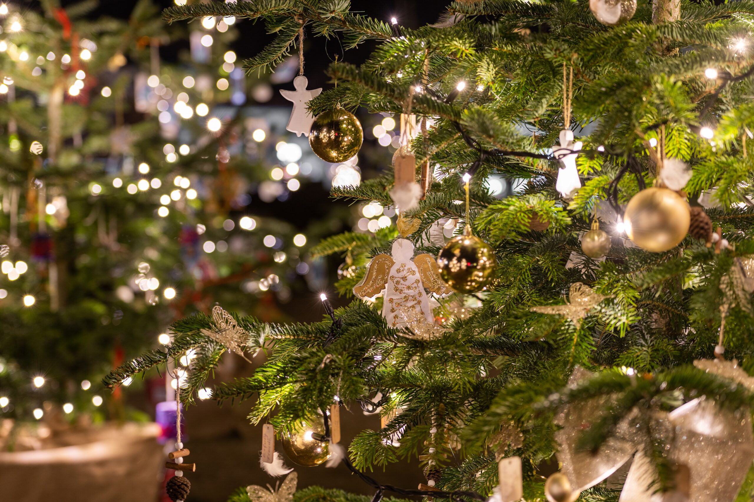 Priener-Feiertags-ffnungszeiten