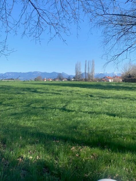 10.01.26-AiblingGemeinsam_klein