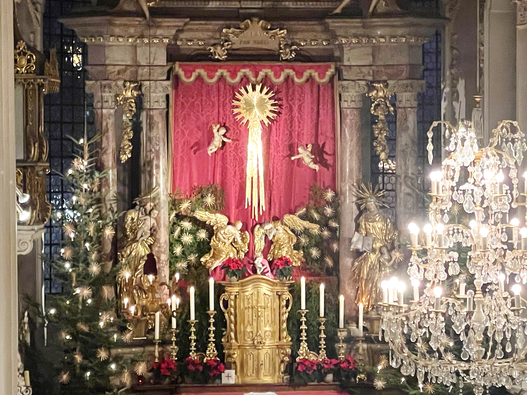 Kardinals-Gedanken-zum-Jahreswechsel