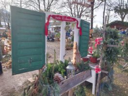 3301de09-8017-480e-97aa-0e833bed9606