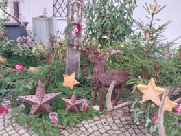 36f301ee-5b4b-4df7-af9a-0aa216847194