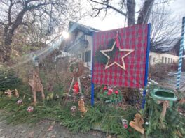 937769db-94f9-4a7d-bae0-a4ae155ad29e