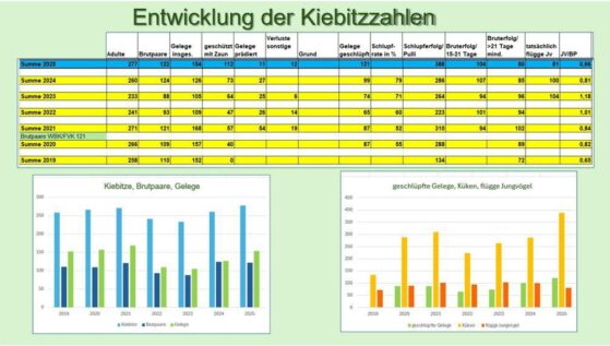 Kiebitzschutz 2025 Statistik_Landratsamt Rosenheim