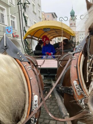 Wiggerl als Kutschenführerin_klein