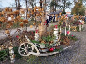 cefa8aa8-f050-47a6-9731-1e6e380d49f4