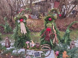 e25245ff-50b6-49e1-9d20-1a2a6c56a9a4