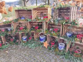 ec6601f2-50ca-48fa-87e7-160efc35dd27