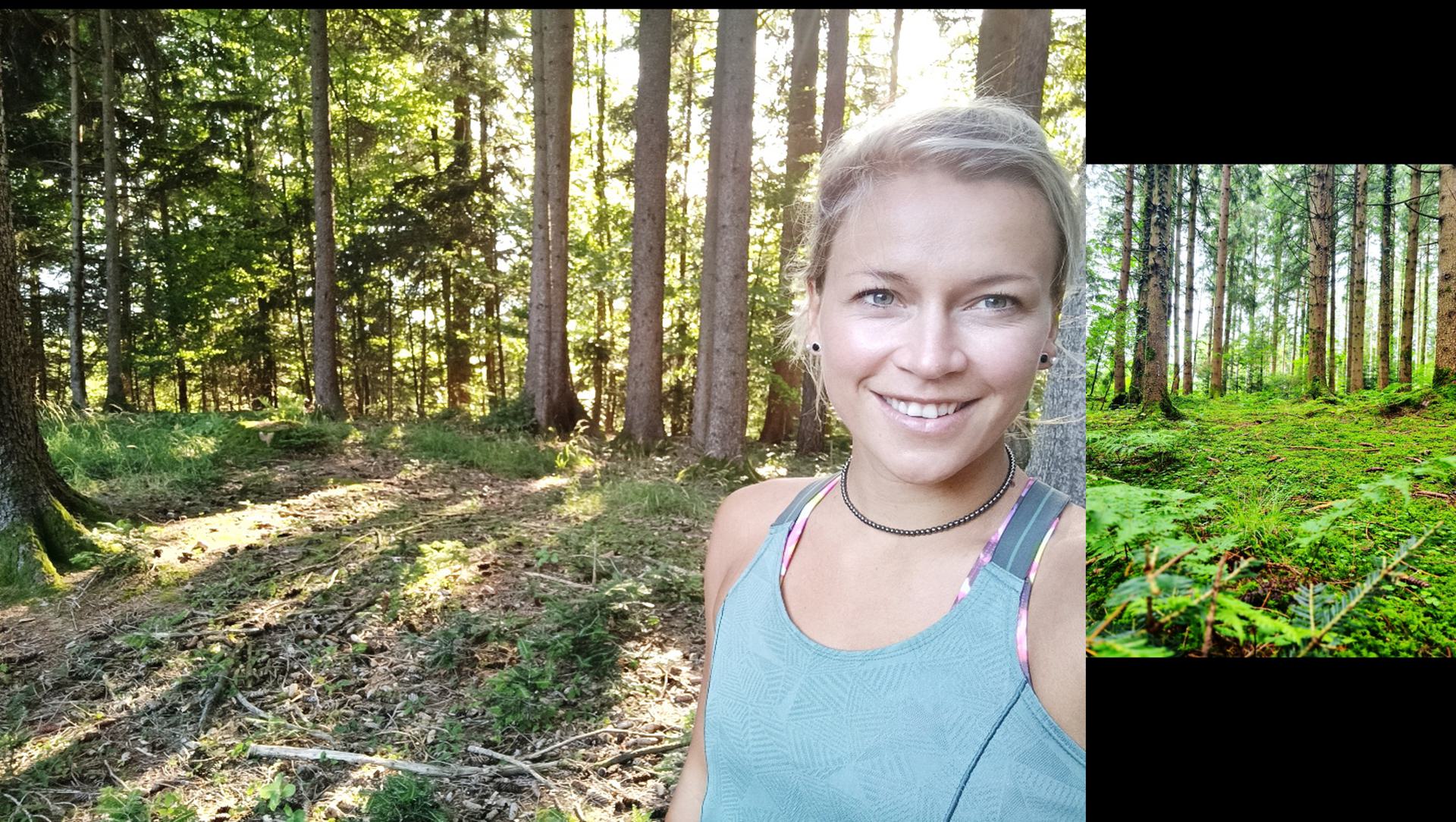 einladung-zum-waldbaden-auf-dem-samerberg