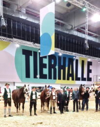 1Rosser in Berlin hoch