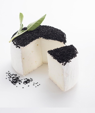 27.01.2026 (002) - 1