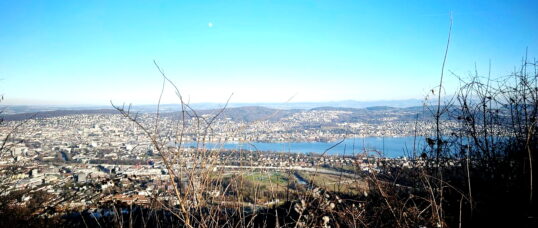 2e0ef958-4cb8-48b8-892b-b1c50999bfb6