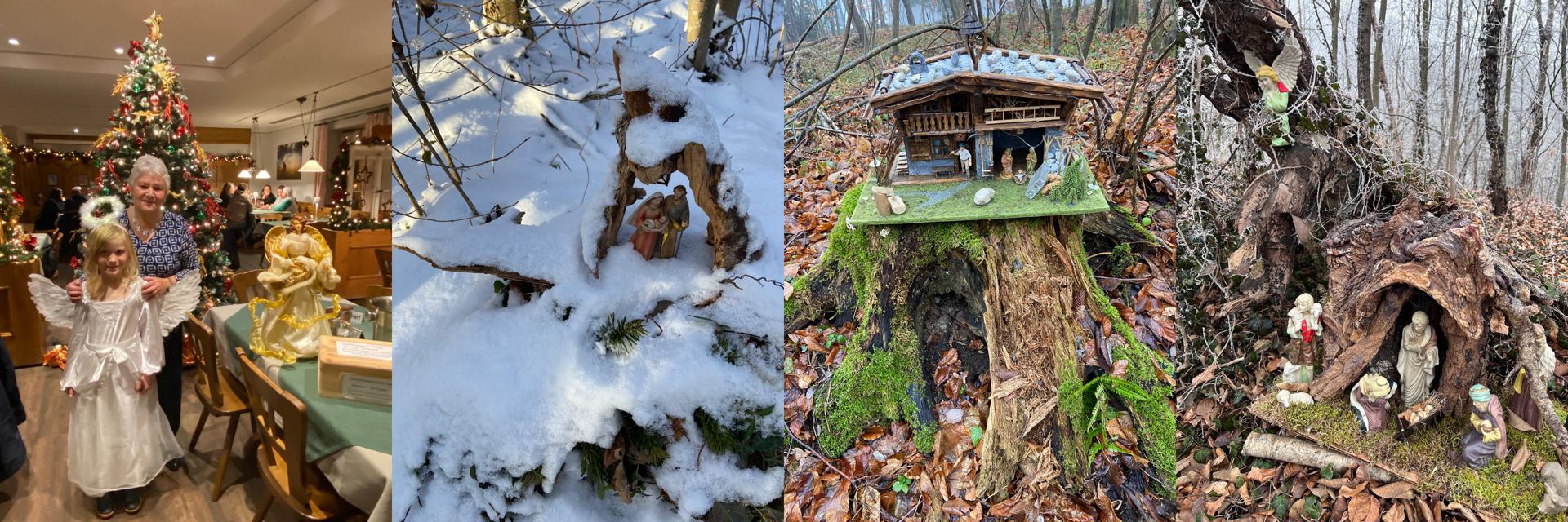 -bersee-Ein-Waldweg-voller-Krippen