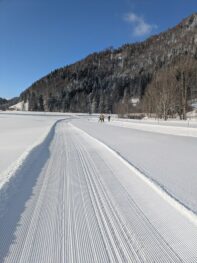 Langlaufen Sachrang (4)_klein