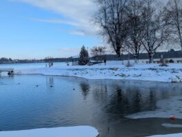 Sonntagsspaziergang am Chiemsee