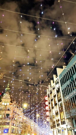 d1445558-7af8-41bb-b363-5ff796ca9a8f