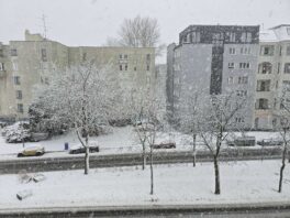 ff9b985a-7826-450d-bbc3-40d05988dfcd