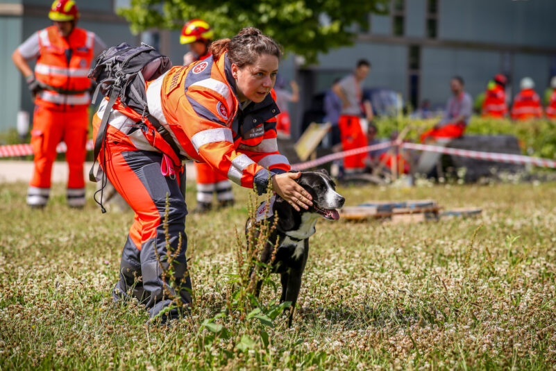 260224_Tag_der_Johanniter_2024_Rettungshunde