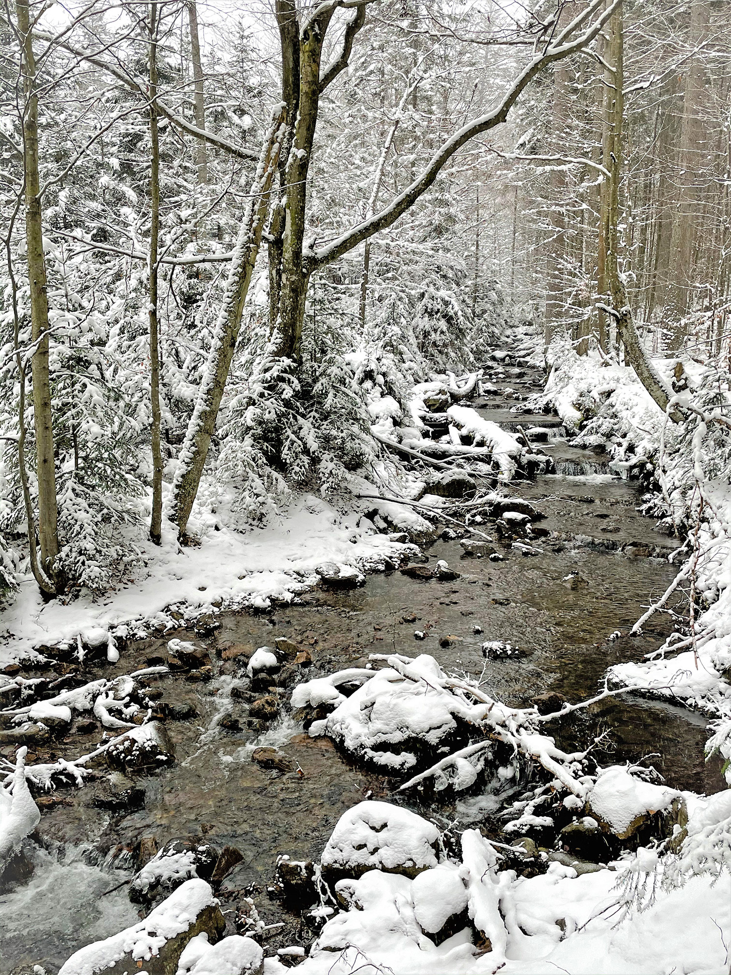 Winterliebe-und-Sternenzauber
