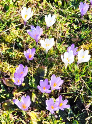 5c131e26-f5b4-49ef-ab1a-eed73036b13d