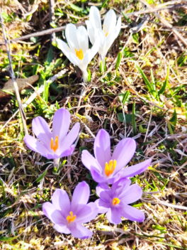 8485abb9-fe95-4724-99d0-4890d9c12192