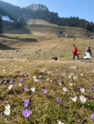 PHOTO-2026-03-07-16-57-10