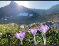 PHOTO-2026-03-07-16-57-11