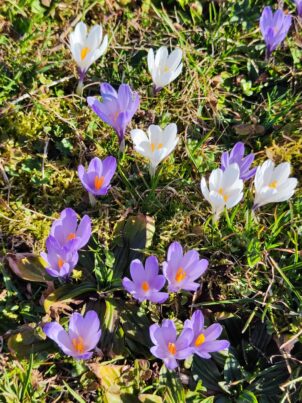 bf0bbe89-461c-48ee-8934-7fd2093a8f97