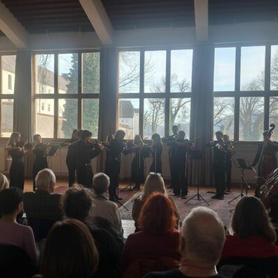 fraueninsel strings on motion 2026 (1)