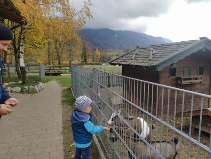 210b8976-8701-407c-8469-9a1dbc5dd558