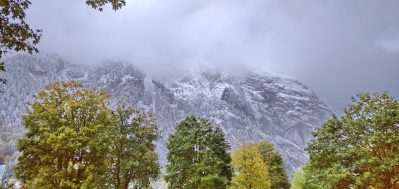 22e98b4c-3151-4c9a-adf7-52baa9bb2985