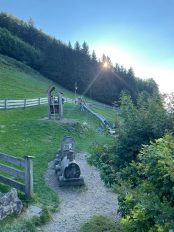 29812ae9-6f54-4a3a-bff4-61a4367be32b