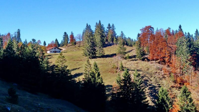 2Samerberger Herbst 2