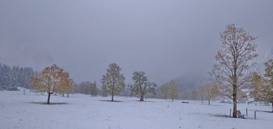 2eac6ece-19ef-4c28-a3fb-04378da4c725