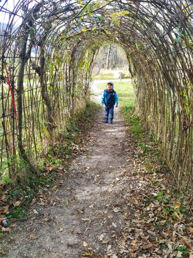 38efe178-4621-4e1e-9c5f-f1a20327ad73