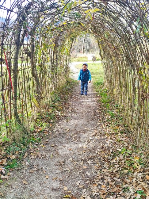 38efe178-4621-4e1e-9c5f-f1a20327ad73