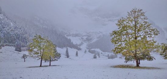 5a0aaa80-a54a-4be4-a48f-f4fe6214d65c