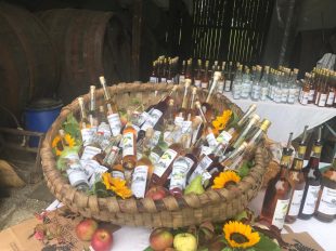 5c058687-362d-4973-ad18-3dc250d7aea9