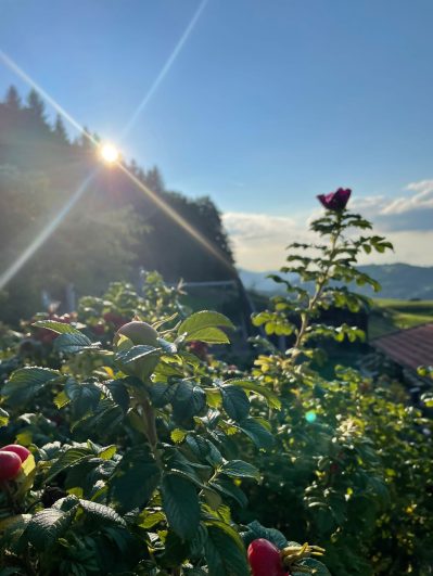 679f8bca-73ca-4d59-8c96-14f7f64b5746