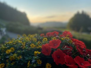 683e8a44-f2b7-44e7-badc-b8e2dffb300a