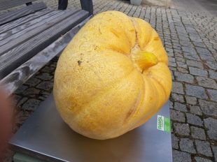 811d0848-0900-420d-9393-2db36557125b