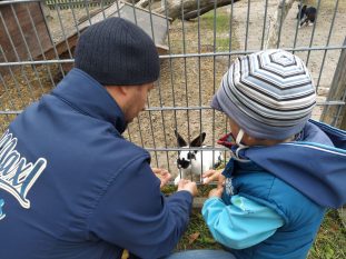 8b155525-4ea9-46aa-8da1-fbcd3b1a090d