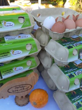 9682d9a0-1f83-4632-9213-d2c0fa781e76