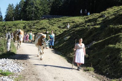 Almabtrieb_Mordaualm_FaMaltanGschosslehen_Sennerin-ReginaLangschartner_RGB_0415
