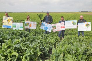 Bild Expertengespräch Zuckerrübe II