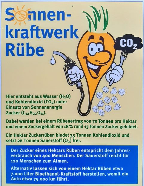 Bild Expertengespräch Zuckerrübe III