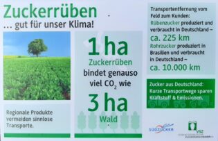 Bild Expertengespräch Zuckerrübe V