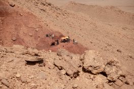 Das Team um Dr. Nizar Ibrahim gräbt über 30 Schwanzwirbel vom Spinosaurus an derselben Fundstelle aus