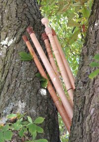 HelAmb_20211010_134431_m