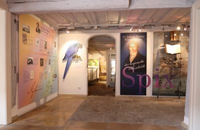 Innenansicht des Spix-Museums